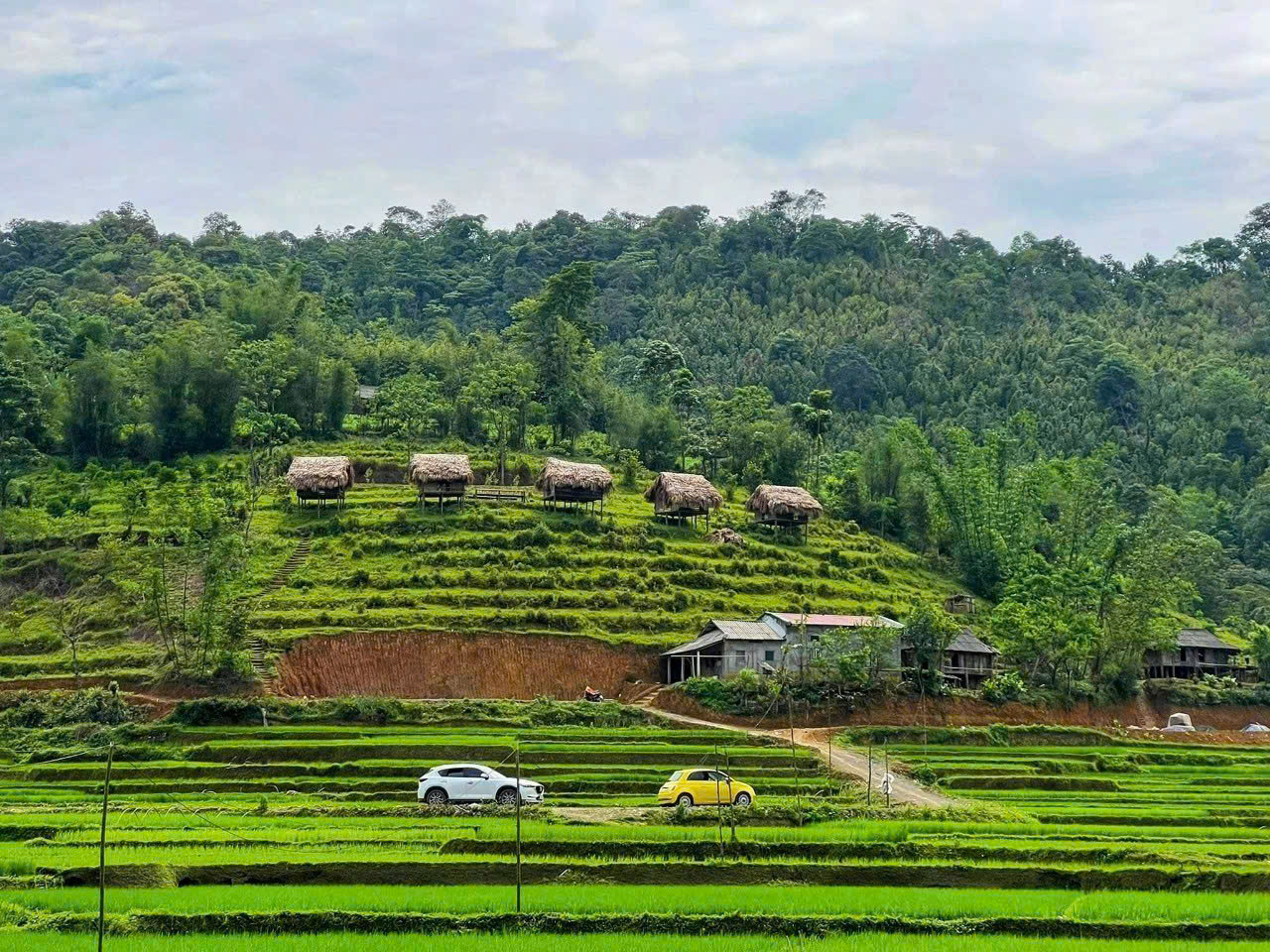 Bán gấp 3749M_800M thổ cư view cánh đồng núi đẹp_phù hợp nghỉ dưỡng_Tân Lạc HB_2,x tỷ - Ảnh chính